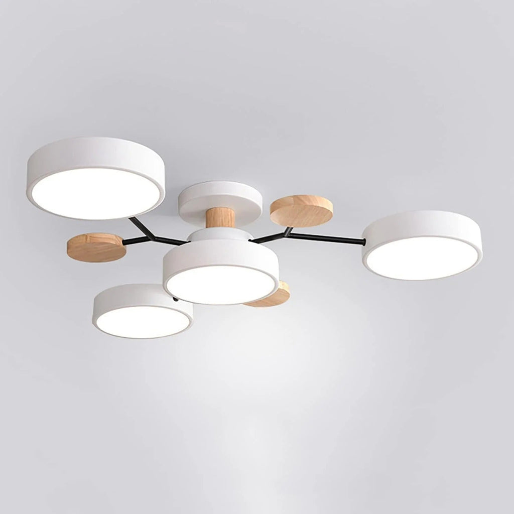 Ceiling Light Modern LED Flush Mount Chandelier - Image 21