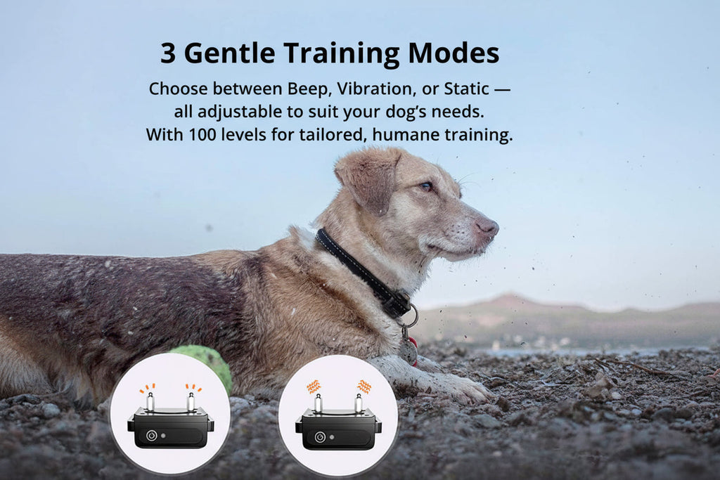 Long‑Range Waterproof Dog Training Collar with 3 Modes - Image 2