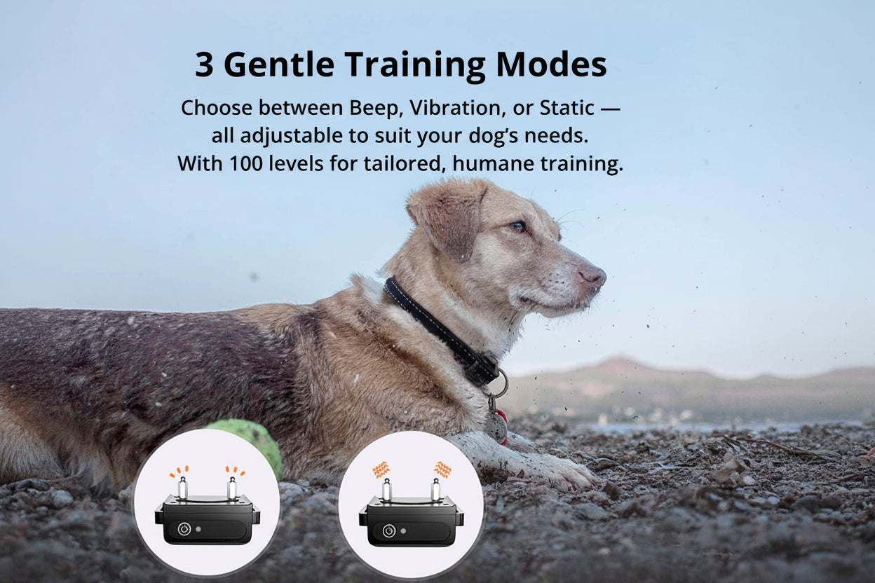 Long‑Range Waterproof Dog Training Collar with 3 Modes - Image 2
