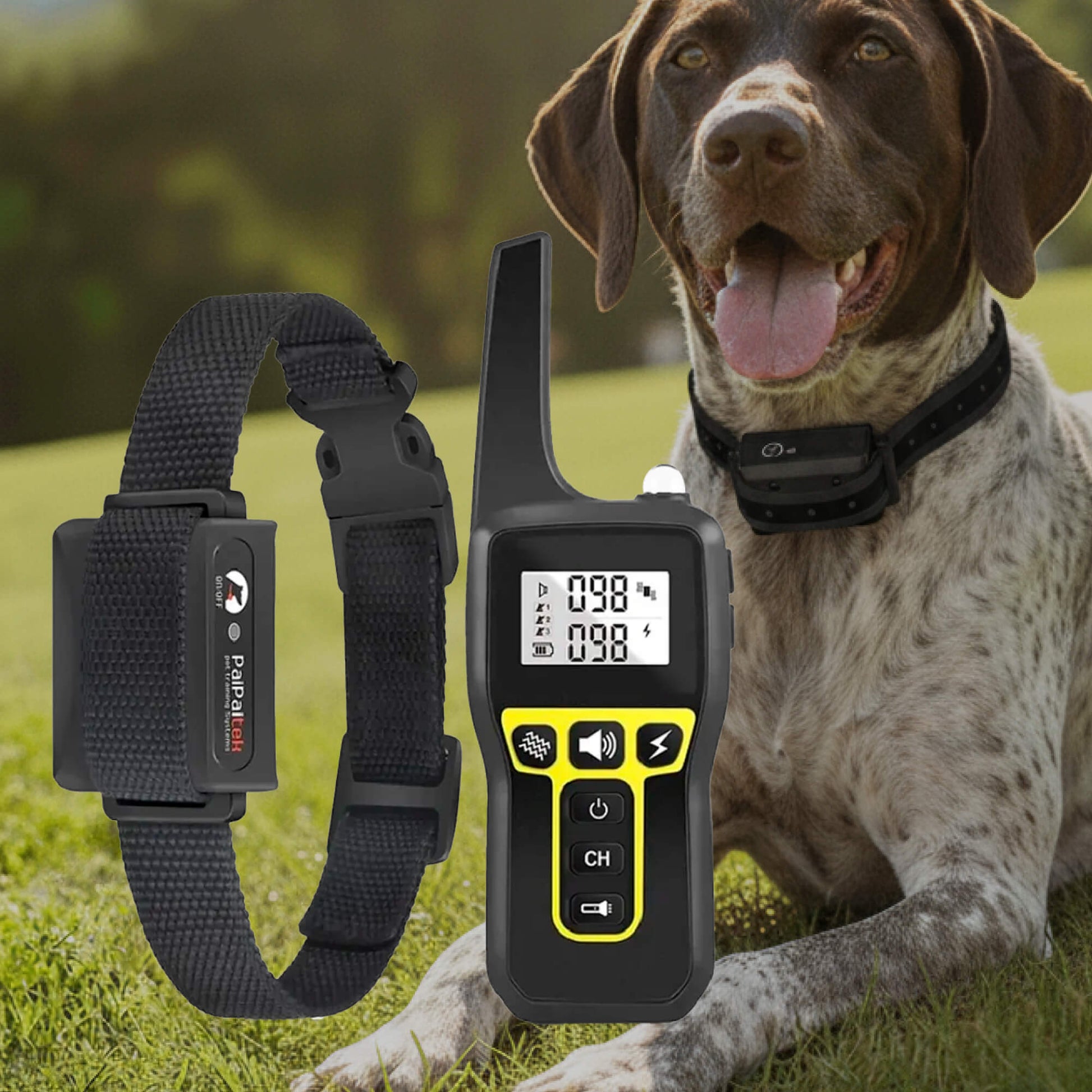 Long‑Range Waterproof Dog Training Collar with 3 Modes - Image 12