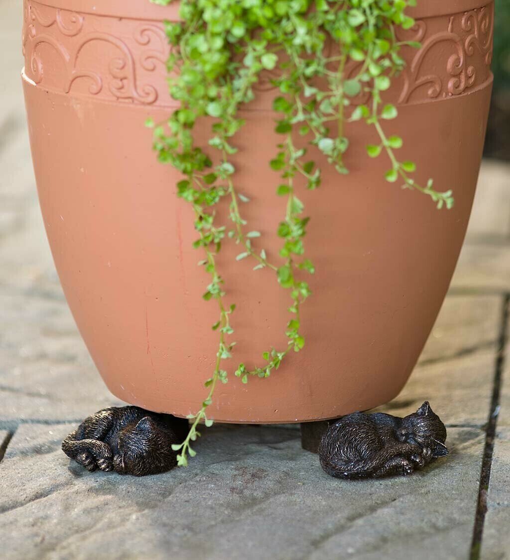 Plant Pot Feet Labrador Planter Risers Decorative Drainage Set - Image 5