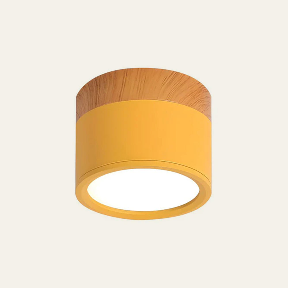 Compact functional round LED ceiling lamp - Ideal for hallways, entryways, and spaces