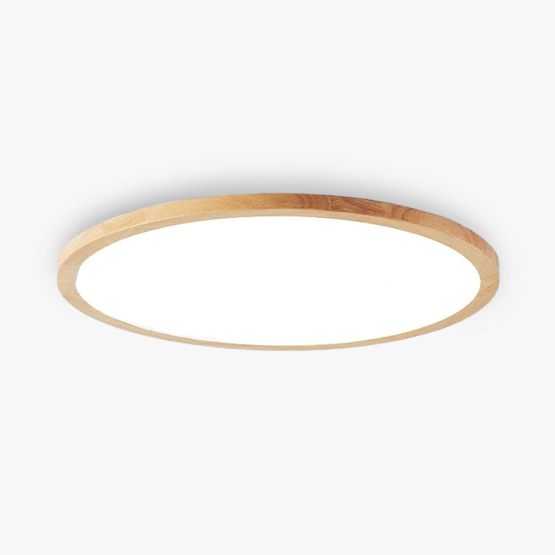 Modern LED Ceiling Light Slim Dimmable Home Lighting