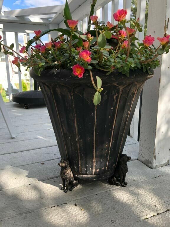 Plant Pot Feet Labrador Planter Risers Decorative Drainage Set - Image 9