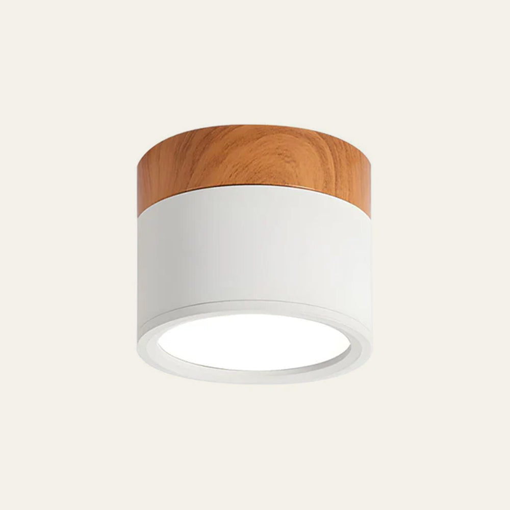 Compact functional round LED ceiling lamp - Ideal for hallways, entryways, and spaces