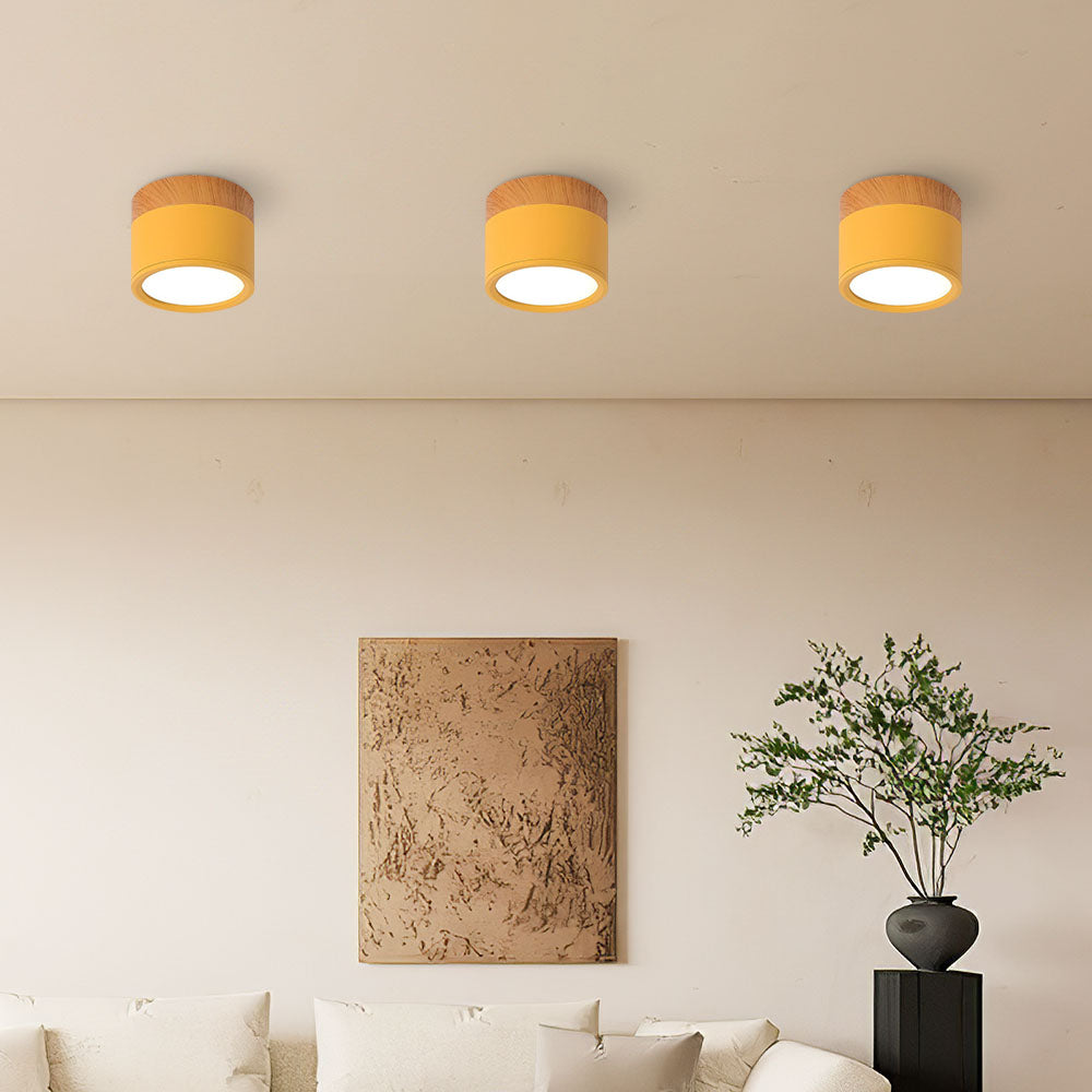 Compact functional round LED ceiling lamp - Ideal for hallways, entryways, and spaces
