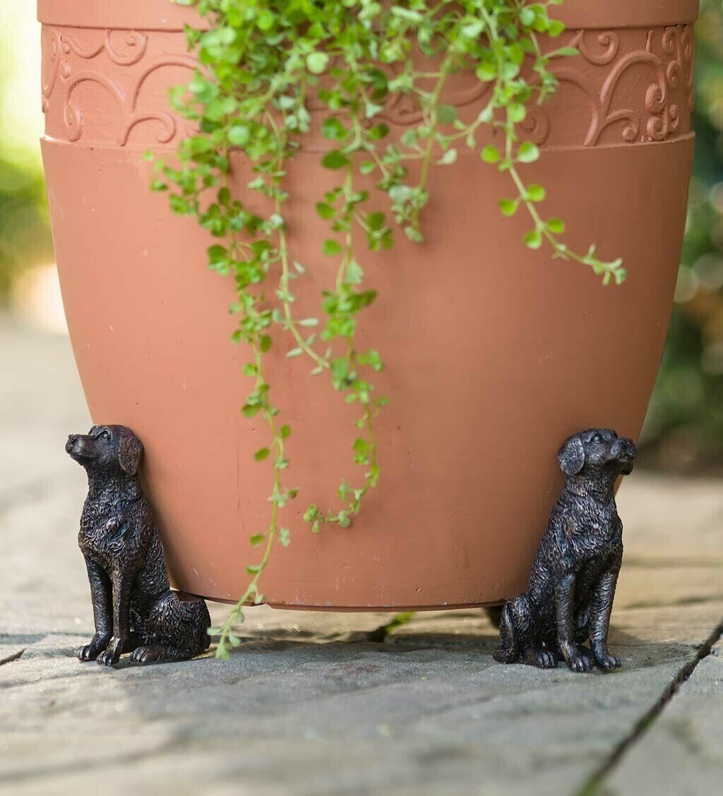 Plant Pot Feet Labrador Planter Risers Decorative Drainage Set - Image 3