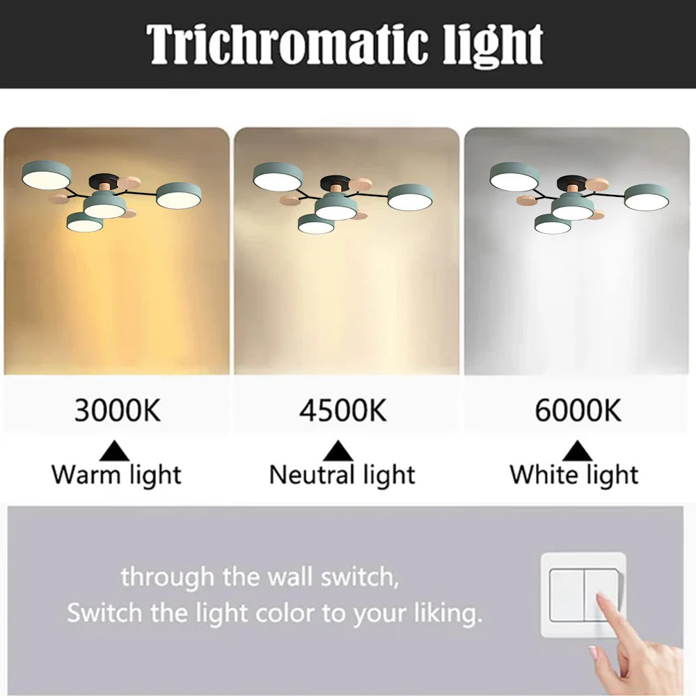 Ceiling Light Modern LED Flush Mount Chandelier - Image 13