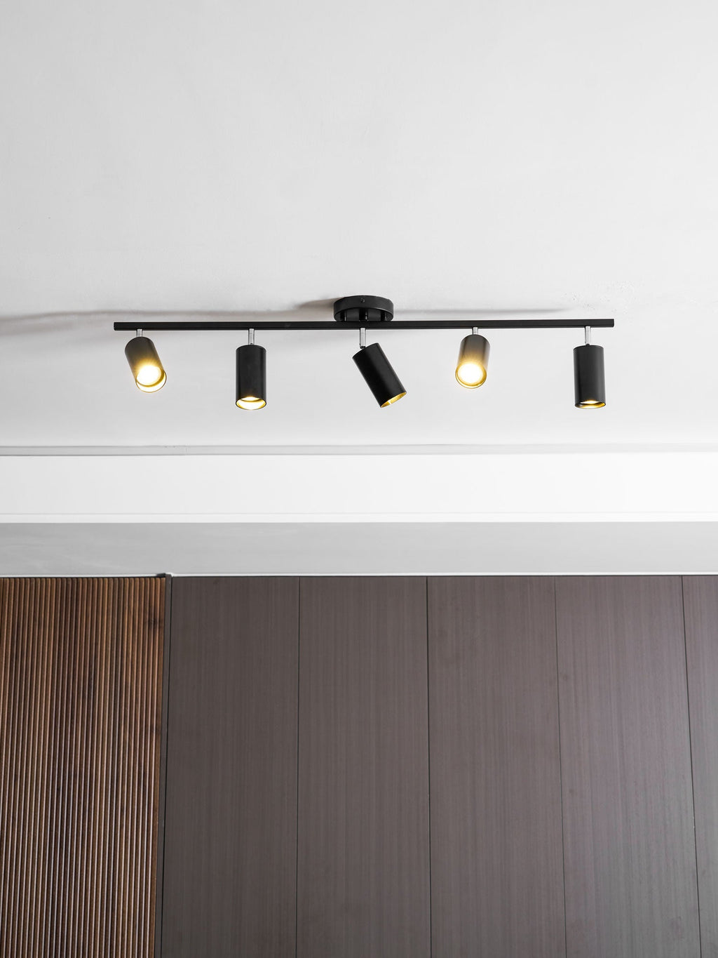 Evanna Ceiling Light - Image 28