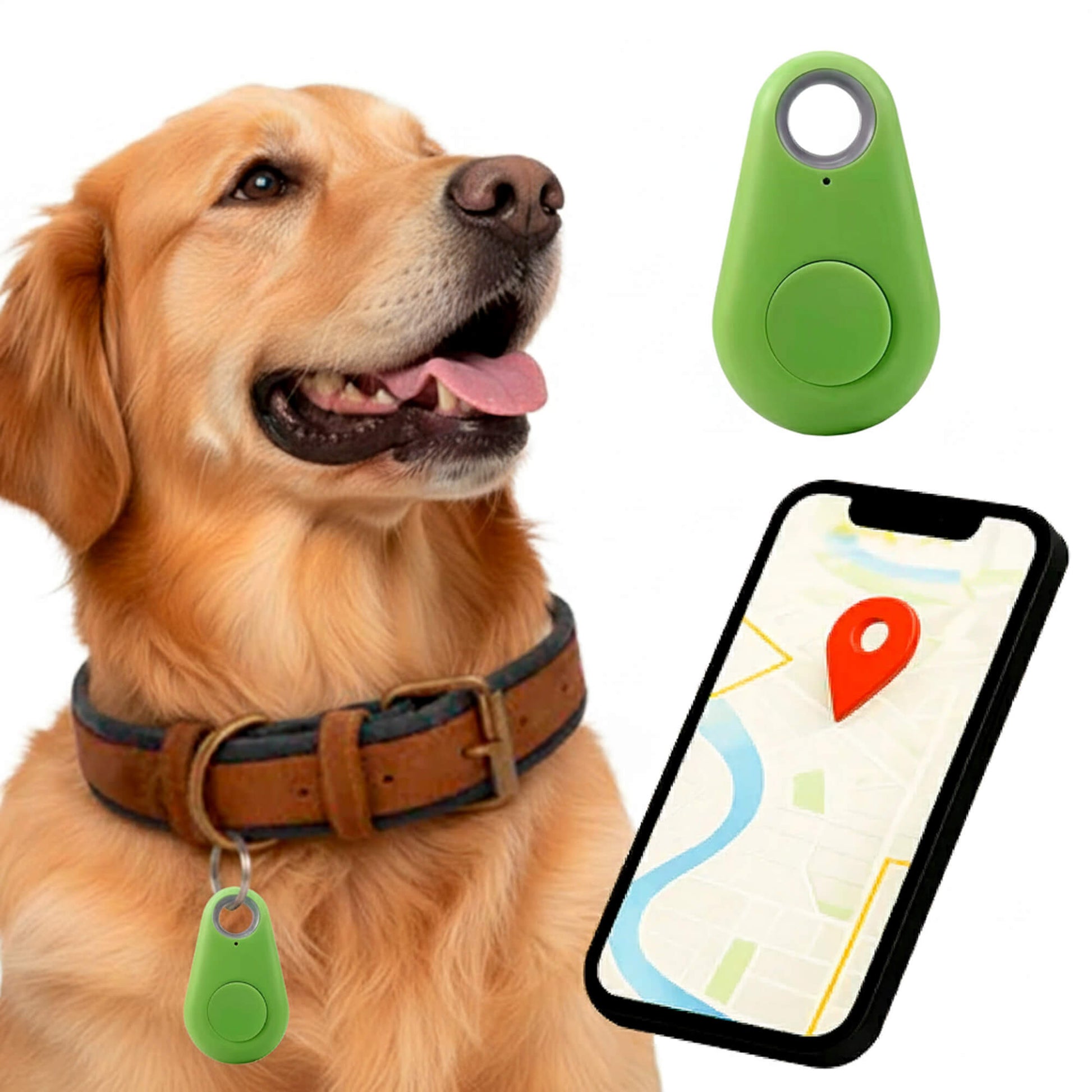 Reliable Dog GPS Tracker No Monthly Fees, Real‑Time Location Updates - Image 10