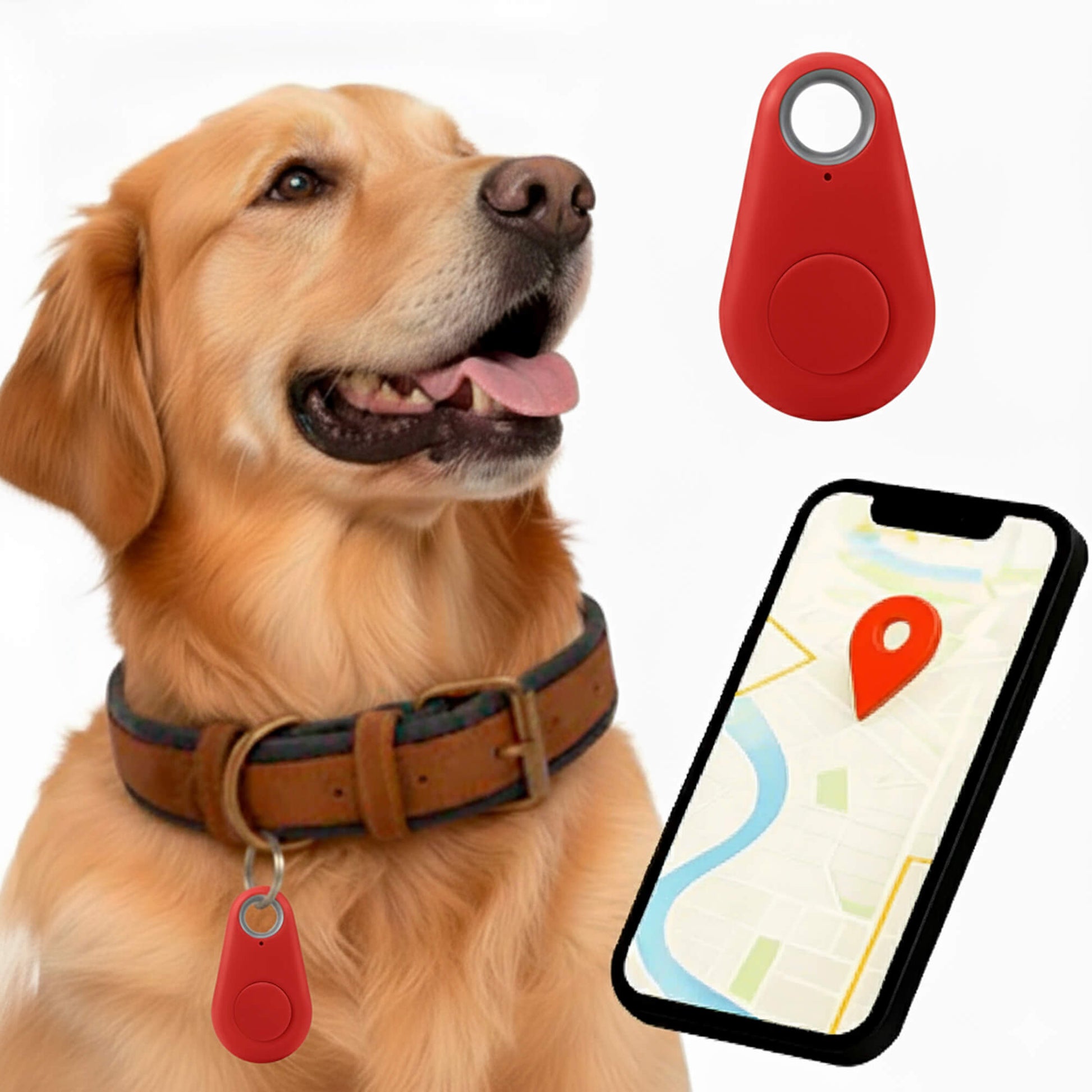 Reliable Dog GPS Tracker No Monthly Fees, Real‑Time Location Updates - Image 11