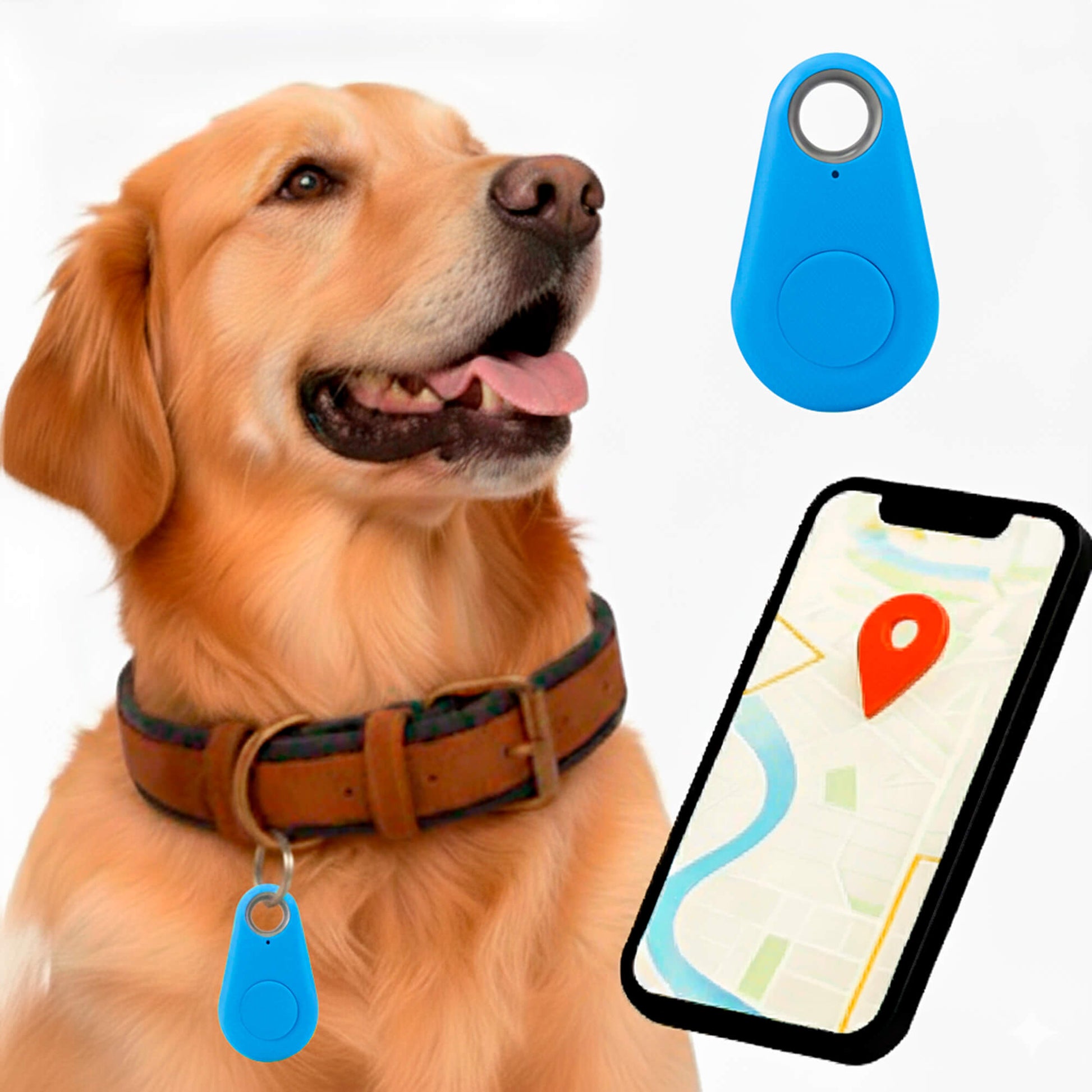 Reliable Dog GPS Tracker No Monthly Fees, Real‑Time Location Updates - Image 12