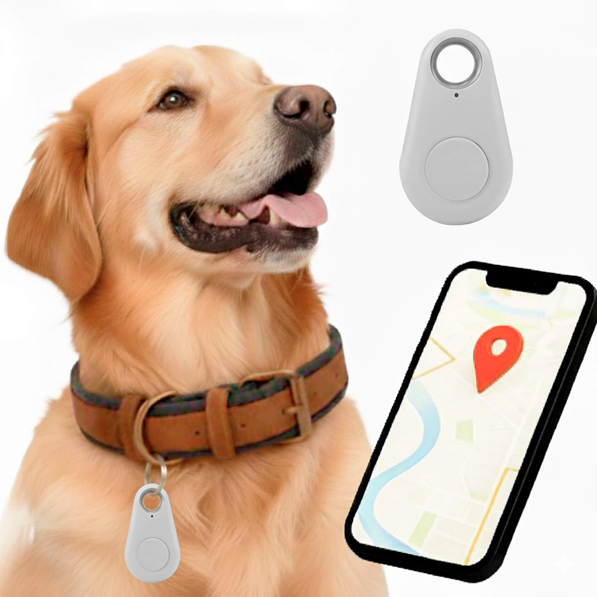 Reliable Dog GPS Tracker No Monthly Fees, Real‑Time Location Updates - Image 13