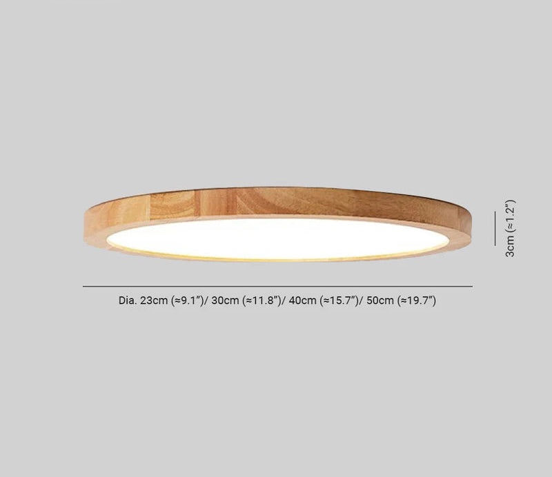 Minimalist LED Ceiling Light Modern Dimmable Fixture for Living Room & Bedroom - Image 4