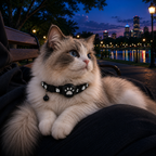 GPS Cat Collar Live Tracker - Image 14