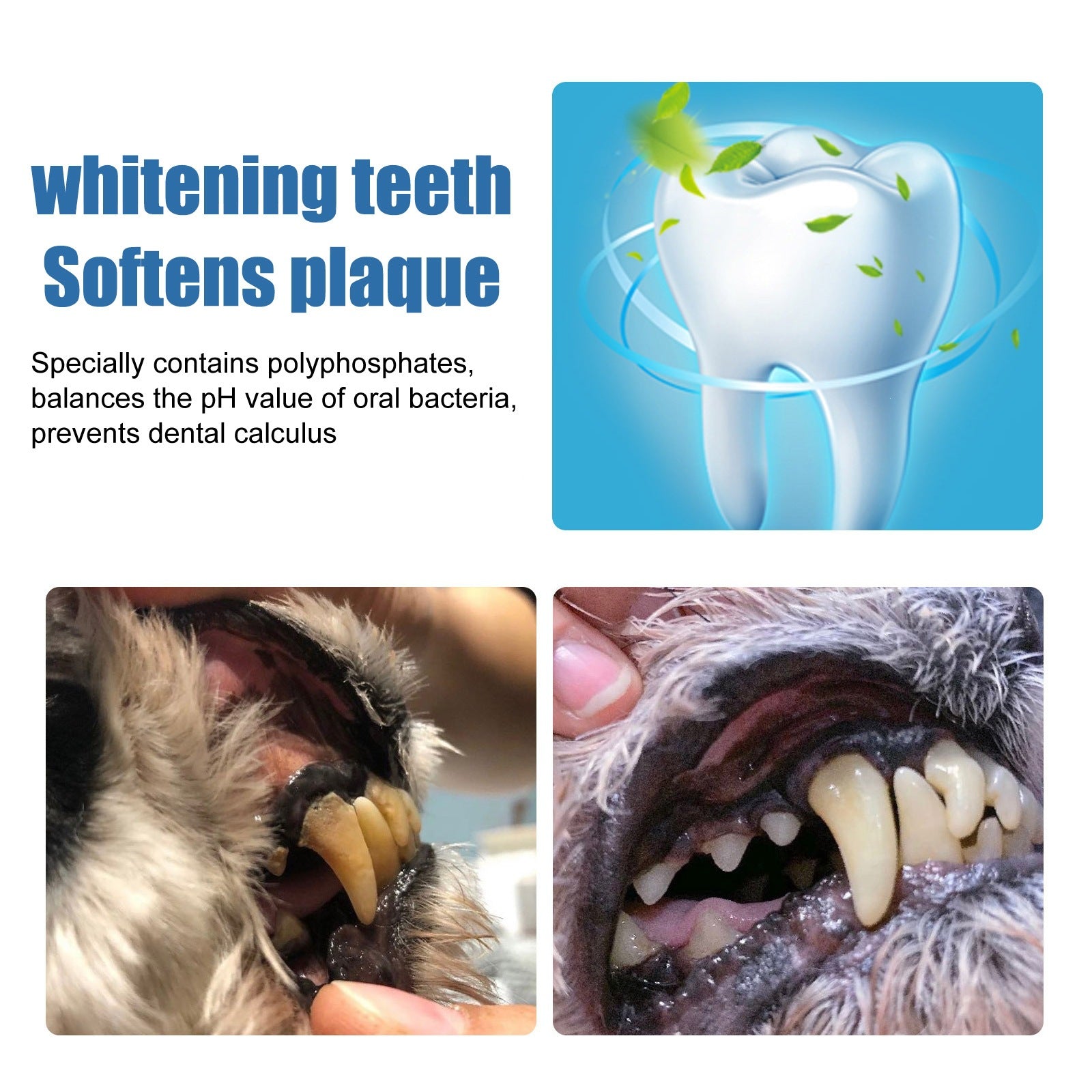Dog Dental Foam No Brush Tartar Plaque Remover Bad Breath Treatment