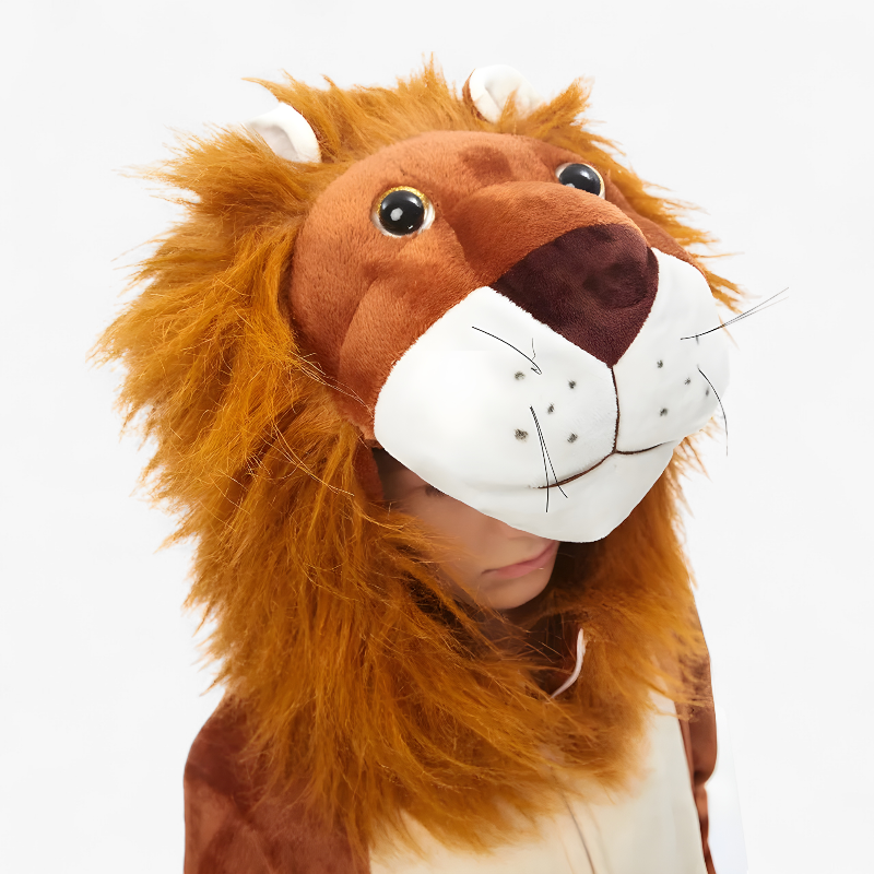 Adorable Lion Costume for Kids