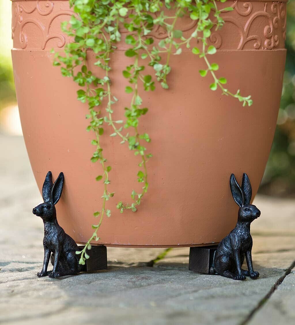 Plant Pot Feet Labrador Planter Risers Decorative Drainage Set