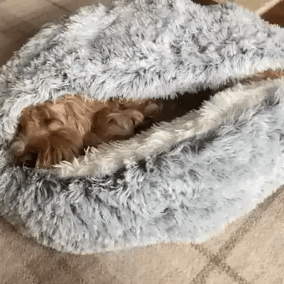 Skorter | Cozy Cave Pet Bed | Calming & Comfortable Dog Bed for Deep Relaxation - Image 6