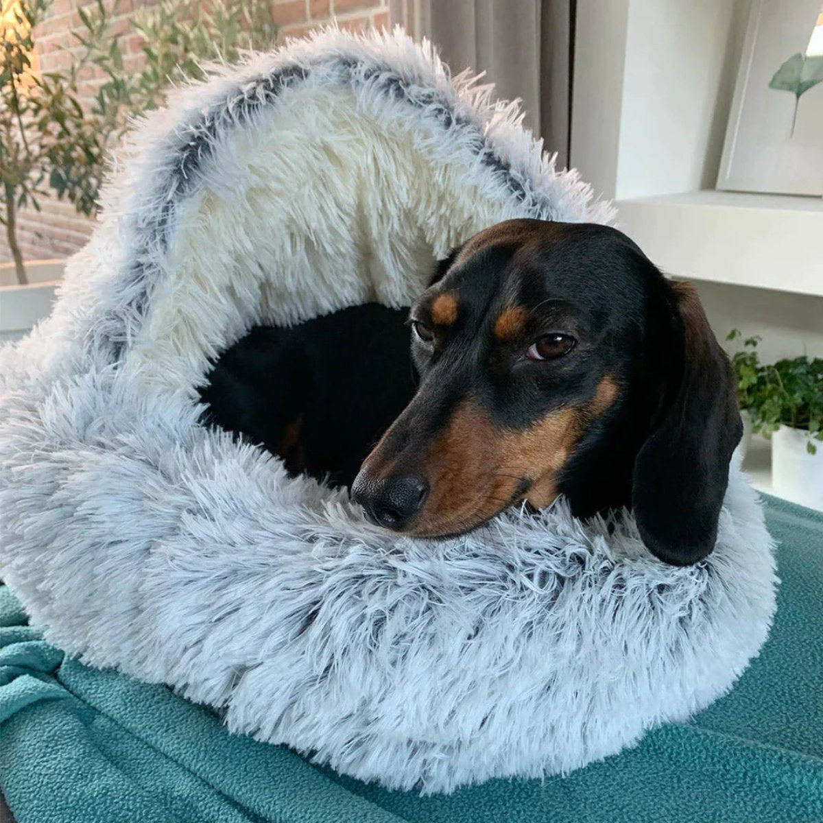 Skorter | Cozy Cave Pet Bed | Calming & Comfortable Dog Bed for Deep Relaxation - Image 2