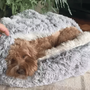 Skorter | Cozy Cave Pet Bed | Calming & Comfortable Dog Bed for Deep Relaxation - Image 5