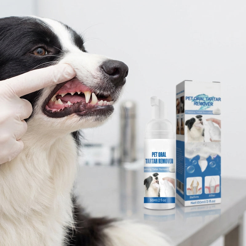 Dog Dental Foam No Brush Tartar Plaque Remover Bad Breath Treatment