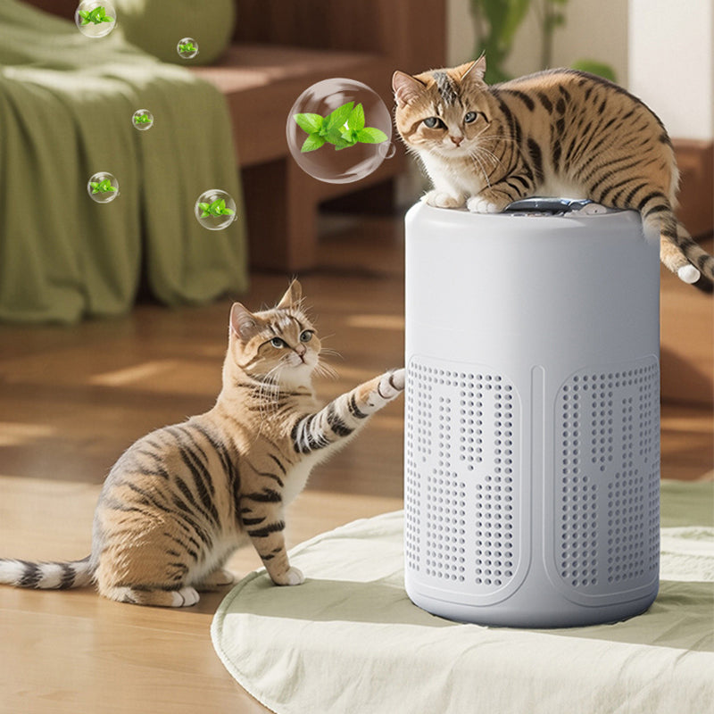 Air Purifier for Allergies Quiet Compact Bedroom Pet Hair Dust Remover