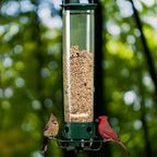 Tube Squirrel Proof Bird Feeder Weight Activated Spinning Perch