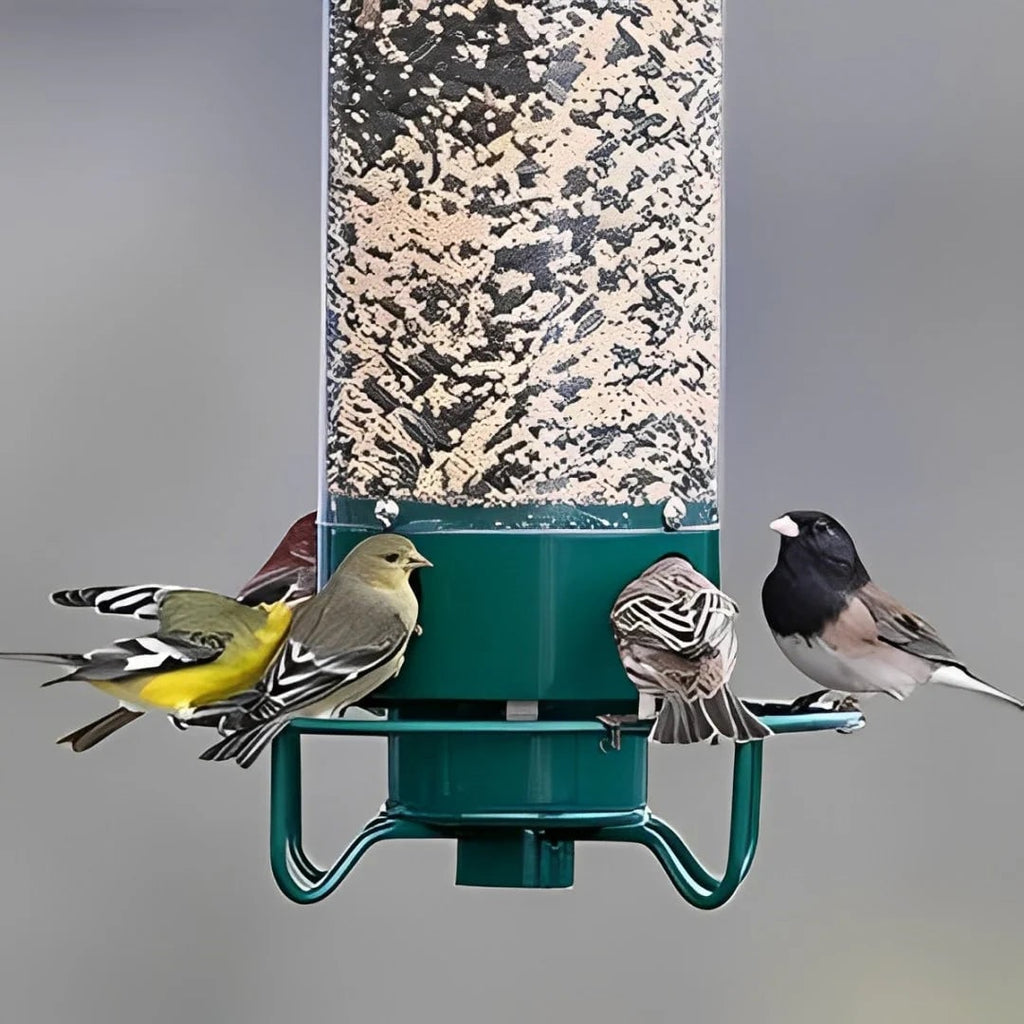 Tube Squirrel Proof Bird Feeder Weight Activated Spinning Perch - Image 5