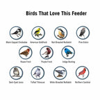 Tube Squirrel Proof Bird Feeder Weight Activated Spinning Perch - Image 6