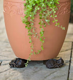 Plant Pot Feet Labrador Planter Risers Decorative Drainage Set — product view 5