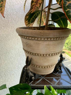 Plant Pot Feet Labrador Planter Risers Decorative Drainage Set — product view 7