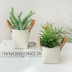 Decorative Plant Pots Leather Handles Indoor Outdoor Basket Planters — product view 3