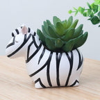 Cute Animal Planter Succulent Cactus Pot Novelty Home Decor — product view 6