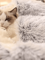 Warm Nesting Soft Calming Cave Dog Bed for Deep Sleep Comfort — product view 7