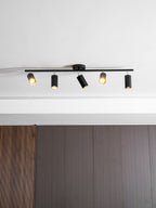 Functionality Sleek Golden Ceiling Light with Adjustable Spotlight Heads — product view 28