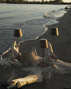 Dimmable Compact Retro LED Table Lamp for Indoor and Outdoor Use — product view 17