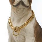 Reinforced Metal Dog Chain Collar for Secure Daily Walks — product view 1