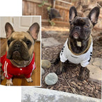 Reinforced Metal Dog Chain Collar for Secure Daily Walks — product view 2