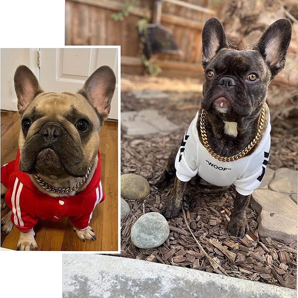 Reinforced Metal Dog Chain Collar for Secure Daily Walks — product view 2